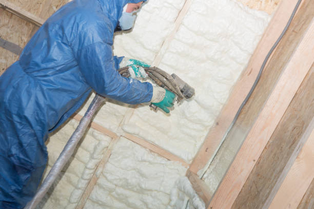 Best Basement Insulation  in Greensboro, AL